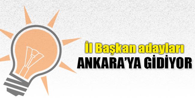 AK Parti Bitlis İl Başkan Adayları Ankara’ya Çağrıldı