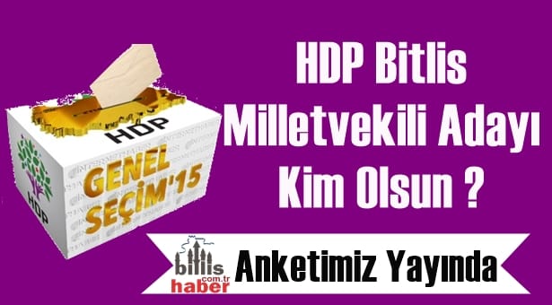 HDP Bitlis Milletvekili Adayı Kim Olsun ?