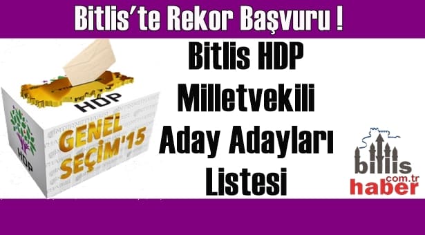 Bitlis HDP Milletvekili Aday Adayları Listesi