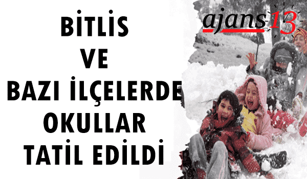 Bitlis ve Bazı İlçelerde Okullar Tatil Edildi