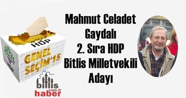 Mahmut Celadet Gaydalı 2. Sıra HDP Bitlis Milletvekili Adayı