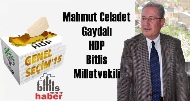Mahmut Celadet Gaydalı 25. Dönem HDP Bitlis Milletvekili