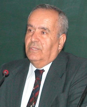 Hamza Zülfikar