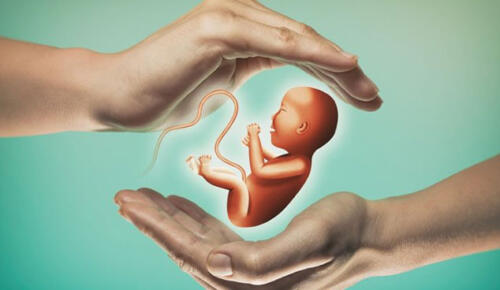 Ankara Tüp Bebek Tedavisi Nedir?