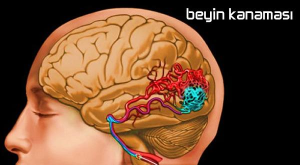 Doğal Saç Boyası Nasıl Yapılır?