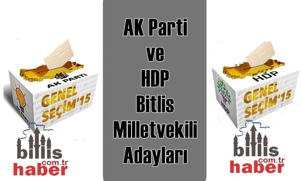 AK Parti ve HDP Bitlis Milletvekili Adayları