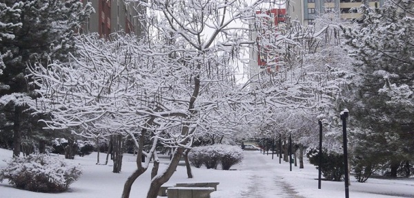 Bitlis’te 2003-2015 Yılları Arasında Yağan Kar Miktarı Açıklandı