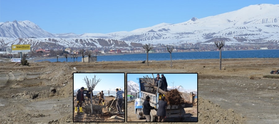 Tatvan Belediyesi, Mesire Alanı Yapacak