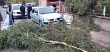 Adana’da şiddetli rüzgar hayatı olumsuz etkiledi haberi