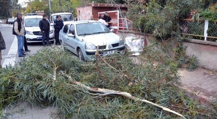 Adana’da şiddetli rüzgar hayatı olumsuz etkiledi haberi