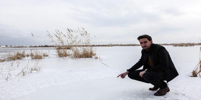 Ahlat’taki ‘Kuş Cenneti’ dondu