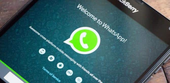 Whatsapp’ta bunu yapan yandı